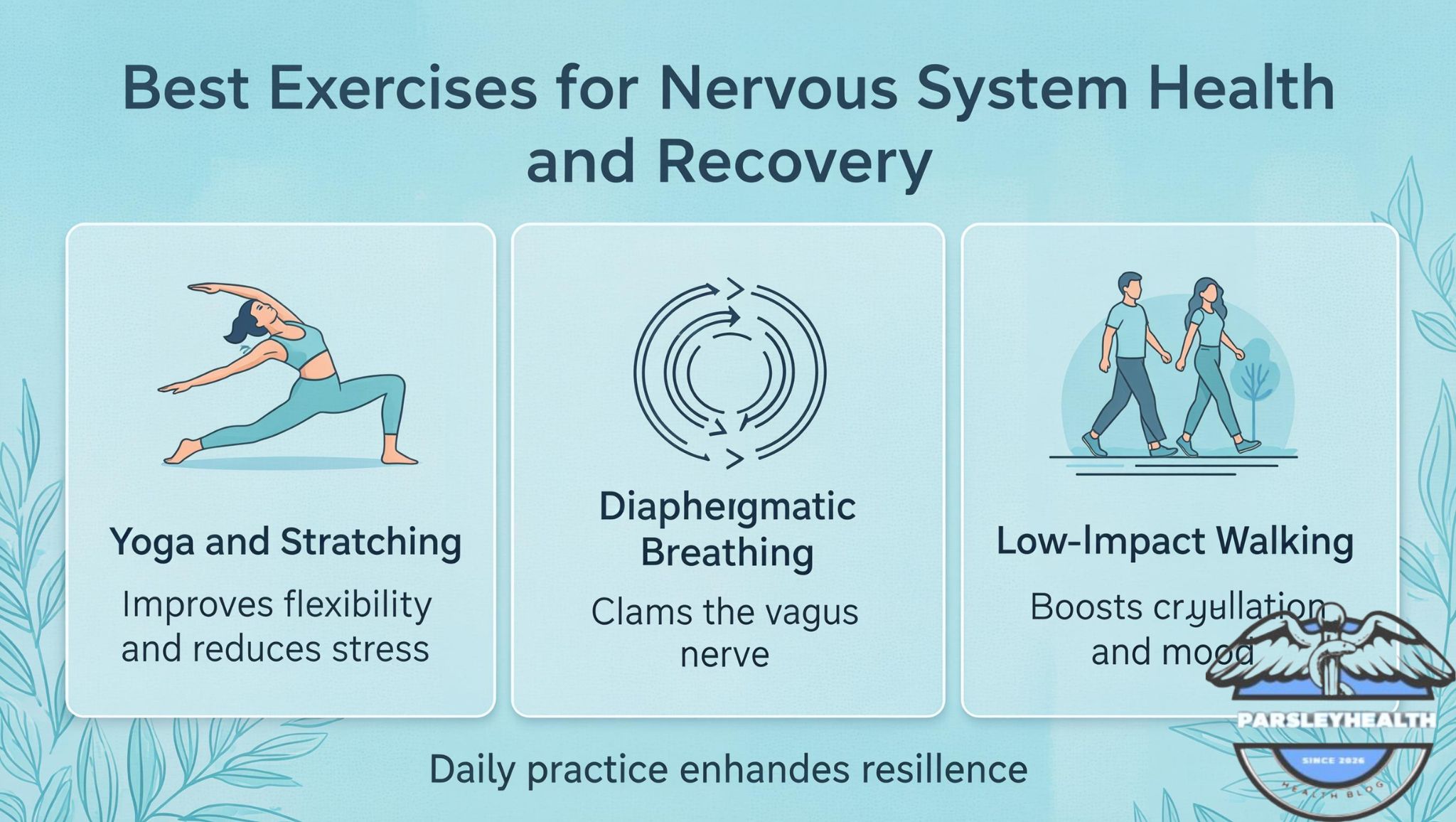 Best Exercises for Nervous System Health and Recovery
