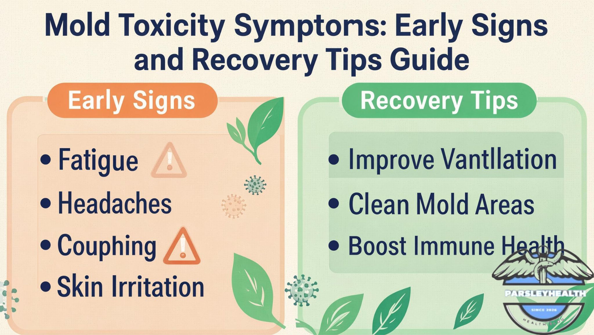 Mold Toxicity Symptoms: Early Signs and Recovery Tips Guide